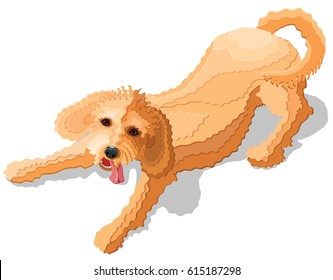 Playful Goldendoodle Or Labradoodle Vector Illustration