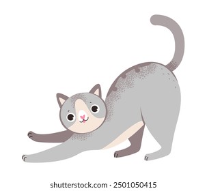 Verspielte graue Katze. Katze einzeln auf weißem Hintergrund. Flache Vektorgrafik.