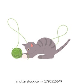 Playful gray cat playing with a green ball of thread. Square card with funny kitten in flat design. Happy cats day. Flat Art Vector Illustration