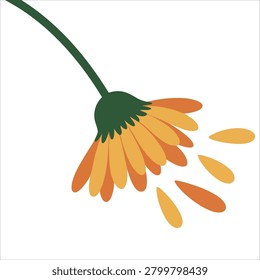 Playful illustration of a yellow flower whose petals are falling to the