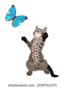 Playful kitten catches a big blue butterfly isolated on a white background. Beautiful card, fabric print in vector with the symbol of the Chinese year of the cat, 2023.