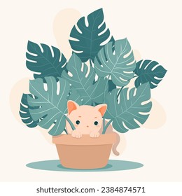 A playful kitten hiding in monstera leaves. 