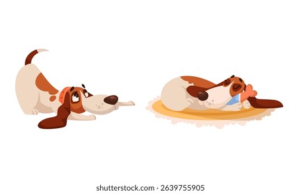 Playful and lively dogs in the most adorable and charming various poses you can imagine