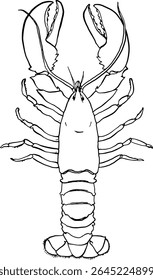 Playful lobster doodle drawing in sketchy cartoon style for seafood stickers children’s books menu layouts and packaging illustration Vector illustration
