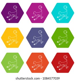 Playful monkey icons 9 set coloful isolated on white for web