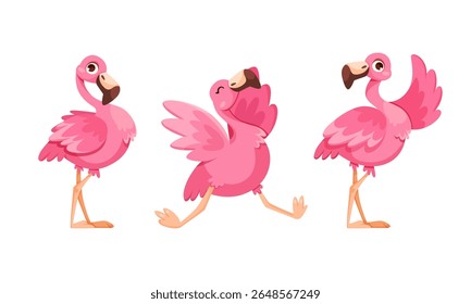 Playful Pink Flamingos in Various Poses for Engaging and Fun Media Use and Purposes