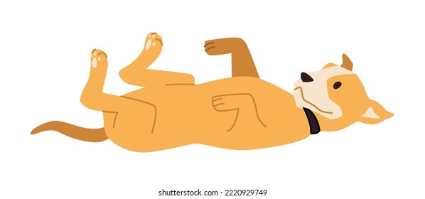 Playful puppy, isolated cheerful domestic pet. Canine animal with collar lying on ground. Dog character portrait, small puppy with coat. Vector in flat style