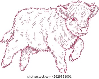 Playful Running Baby Highland Cow Illustration – Cute Hand-Drawn Farm Animal Clipart

