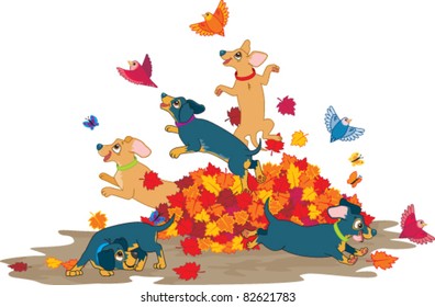 Playful Sausage Dogs playing in a pile of colorful autumn leaves