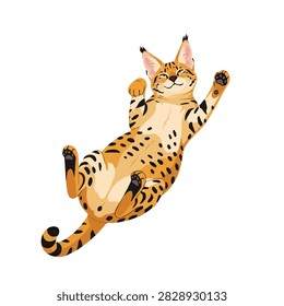 Playful Serval Wild Cat Character Lying on Its Back and Smiling Vector Illustration Isolated