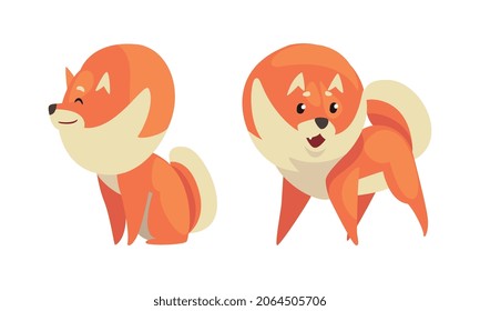 Playful Shiba Inu or Akita Puppy as Japanese Breed Dog with Prick Ears Vector Set