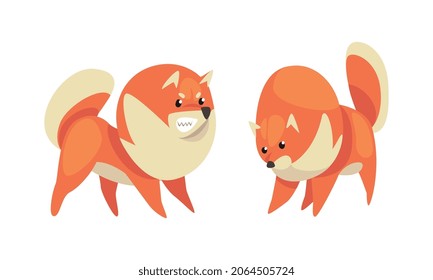 Playful Shiba Inu oder Akita Welpe als japanischer Hund mit Prick Ears Vector Set