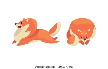 Playful Shiba Inu or Akita Puppy as Japanese Breed Dog with Prick Ears Vector Set