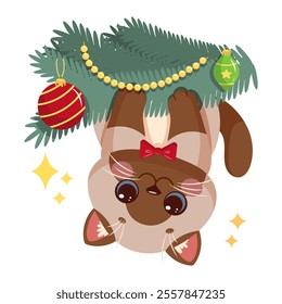 Playful Siamese cat hanging upside down from a decorated Christmas tree branch. Cute vector illustration 