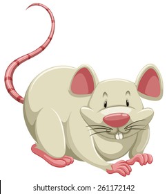 Playful white mouse on a white background