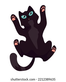 playing black cat mascot character