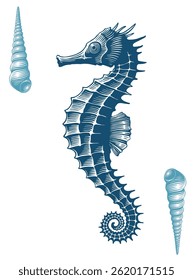 Playing card. Seahorse shells. Editable hand drawn illustration. Vector vintage engraving. Isolated on white background. 8 EPS