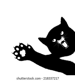 playing cat on a white background
