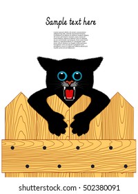 playing cat sitting on a fence