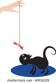 Playing with cats