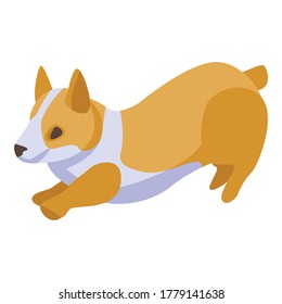 Playing corgi dog icon. Isometric of playing corgi dog vector icon for web design isolated on white background