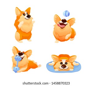 Playing Corgi Dog sport exercise, games with rubber ball, bone, sleeping. Puppy doggy domestic pets emotion, haired puppy looks fox-like isolated cartoon vector