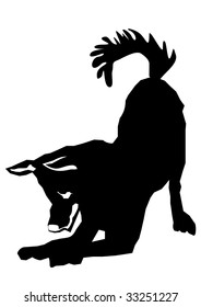 playing dog