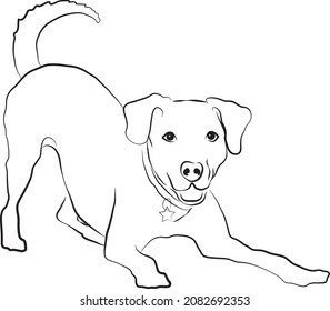 Playing dog drawing with front legs straight forward, bottom raised and tail wagging