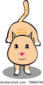 playing kitten