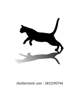 playing kitten on white background vector illustration