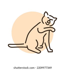 Playing sitting cat color line icon. Pictogram for web page, mobile app, promo.