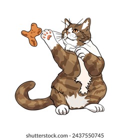 Сat plays with a toy. Vector illustration for a pet store. Domestic cat and accessories