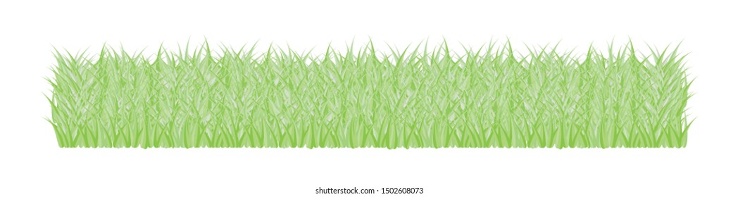 A pleasant green patch of grass isolated from background