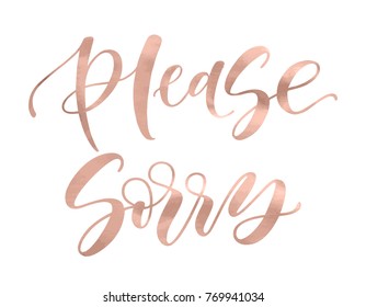 Please. Sorry. Beautiful fashion greeting card calligraphy metallic rose gold text. Handwritten invitation T-shirt print or paper design. Modern brush lettering white background isolated vector phrase