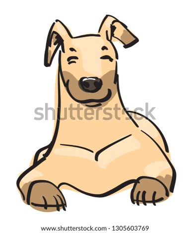 A pleased dog is lying and smile.