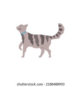 Gato gris sonriente alegre caminando con la cabeza hacia arriba de estilo plano, ilustración vectorial aislada en fondo blanco. Concepto de comportamiento del gato, lenguaje corporal y expresión de la cara