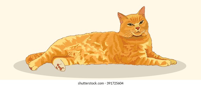 Pleased with striped red cat stretched his full height, lying and resting. Imposing posture. Favorite pets. Realistic vector illustration.