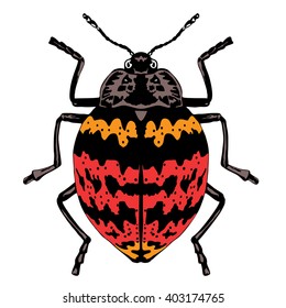 Pleasing Fungus Beetle vector pattern