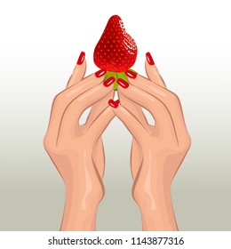 Pleasure. The proposal of sweet, juicy strawberries. Women's hands with a berry. Vector illustration.