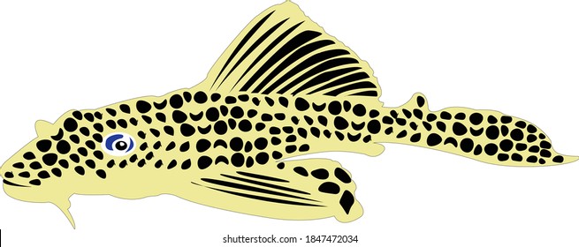 Pleco Aquarium Fisch-Vektorbild
