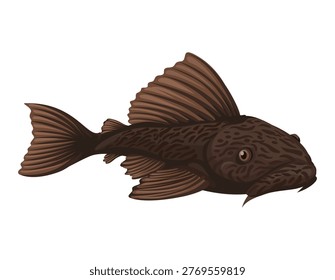 Pleco Fish species Illustration Vector