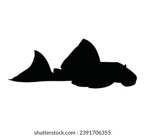 Pleco icon. Pleco vector illustration.