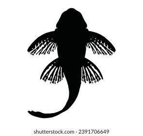 Pleco silhouette illustration isolated on white background.