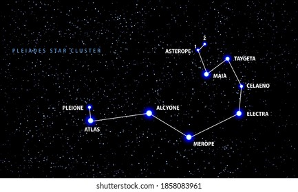 The Pleiades Open Star Cluster. Vector Scheme.