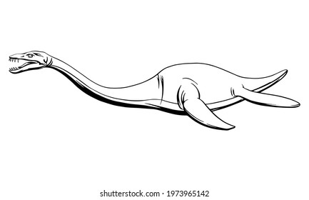 Plesiosaur in a linear style, ink drawing.Vector illustration.