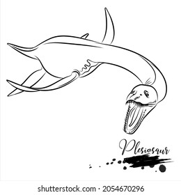 Plesiosaur, realistic sketch aquatic dinosaur, vector illustration