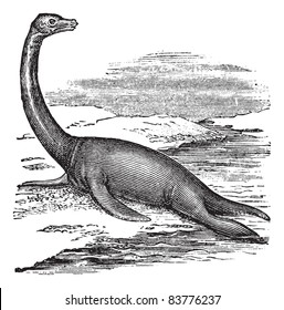 Plesiosaur, vintage engraved illustration. Trousset encyclopedia (1886 - 1891).