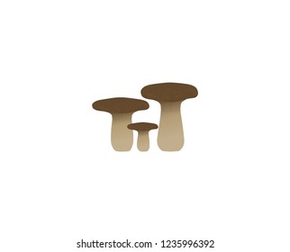 Pleurotus eryngii King Oyster Mushrooms