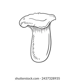 Pleurotus eryngii, hongo de trompeta rey, hongo de cuerno francés, eryngi, hongo de ostra rey, hongo marrón rey, boleto de las estepas, trompeta royale vector sketch ilustración vintage.