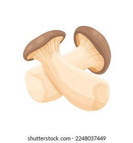 Pleurotus eryngii mushrooms on white background.vector illustration 10